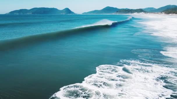 Letecký Pohled Dokonalou Valivou Vlnu Brazilské Pobřeží Atlantského Oceánu Vlnami — Stock video