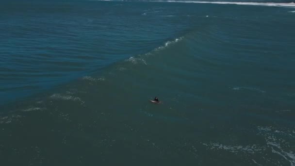 Veduta Aerea Del Surfista Attesa Dell Onda Nell Oceano — Video Stock