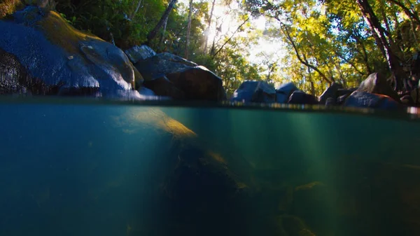 Dividido Tiro Subaquático Rio Floresta — Fotografia de Stock