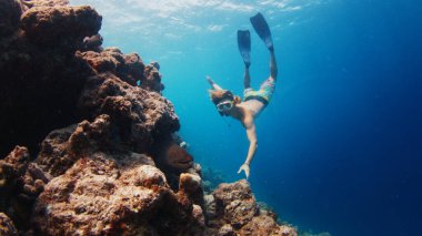 İnsan mercan kayalıklarıyla denizde serbest dalış yapar.