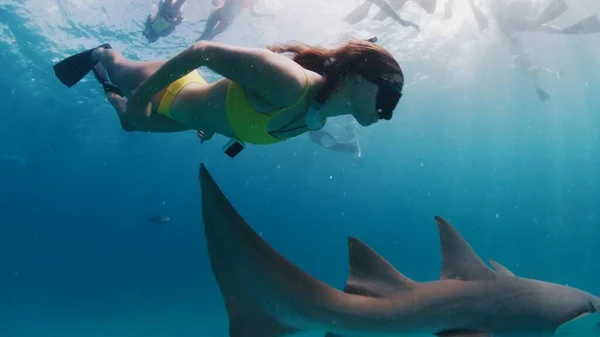马尔代夫热带海洋中的妇女自由潜水和与哺乳鲨鱼一起潜水 — 图库照片