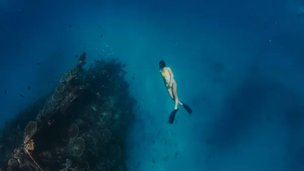 马尔代夫的一个热带海域 一名妇女与珊瑚一起在沉船附近潜水 图库图片