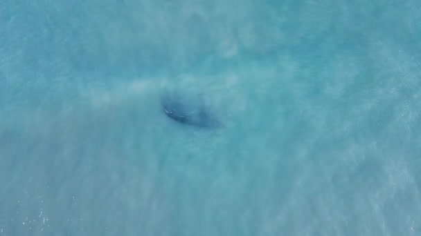 Vista Aérea Los Restos Del Buque Hundido Mar — Vídeos de Stock
