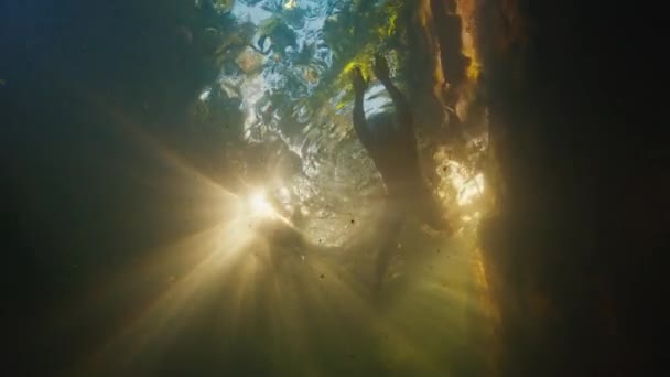 Muž Plave Sladkovodním Jezeře Lese Slunečnými Paprsky Zářícími Vodou — Stock video