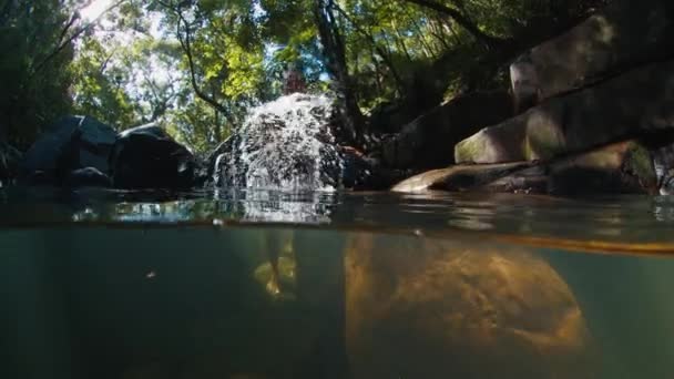 Forest Lake Man Stands Lake Forest Splashes Water Camera — Stock Video