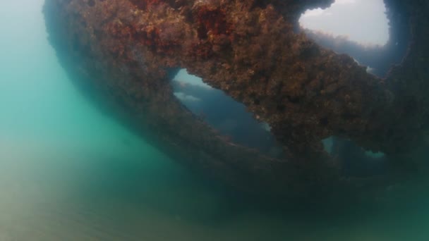 Ναυάγιο Στη Βραζιλία Υποβρύχια Θέα Του Ναυαγίου Σκοτεινό Κρύο Νερό — Αρχείο Βίντεο