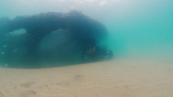 Flianopolis Brazil エイプリル2023 難破船の近くの濁った海で水中で泳ぐ漁師 — ストック動画