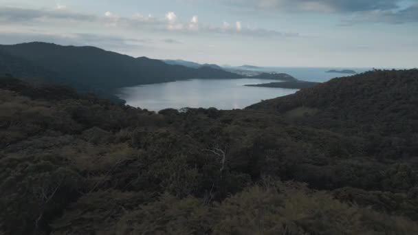 巴西有湖泊和热带森林的山谷的空中景观 — 图库视频影像