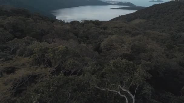 巴西有湖泊和热带森林的山谷的空中景观 — 图库视频影像