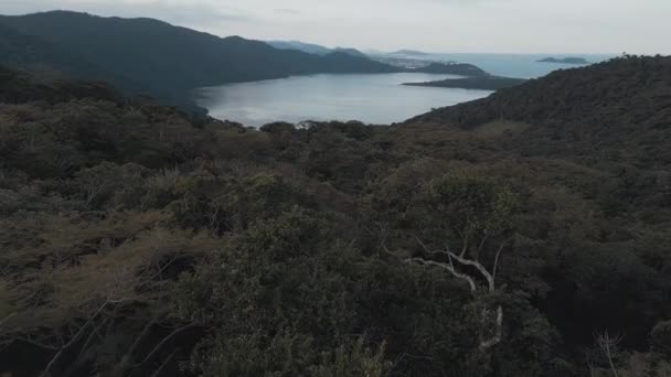 Vue Aérienne Vallée Avec Lac Forêt Tropicale Brésil — Video