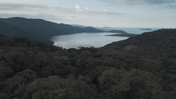 Letecký Pohled Údolí Jezerem Tropickým Pralesem Brazílii — Stock video