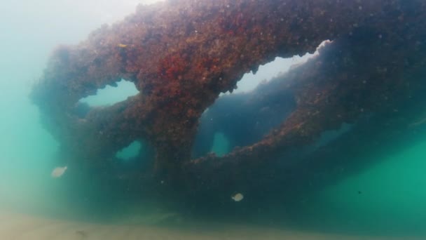 Shipwreck Brazil Underwater View Shipwreck Murky Cold Water Sandy Bottom — Stock Video