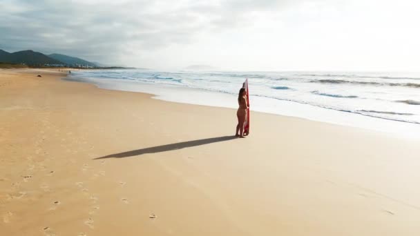 セクシーなサーファーの空中 若いです女性サーファーの空中ビューでビキニで歩くと上の砂の完璧なビーチとともにサーフボード — ストック動画