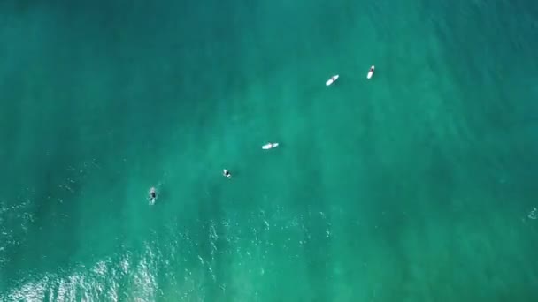 Surfing Aerial Surfers Wait Waves Line Paddle — Stock Video