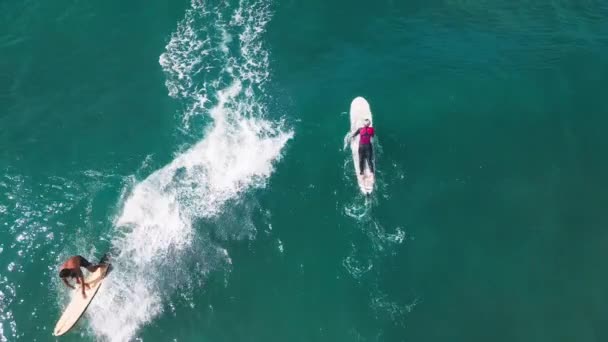 Surfen Vanuit Lucht Surfer Rijdt Golf — Stockvideo