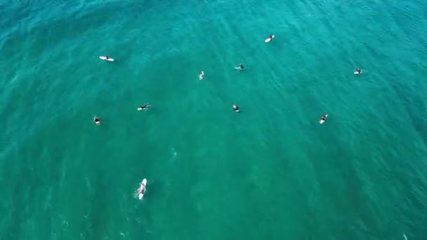 Серфинг Антенна Серфингисты Ждут Волн Очереди Кружатся Вокруг — стоковое видео
