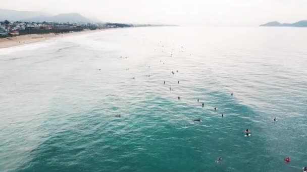 Surfen Aus Der Luft Surfer Warten Auf Wellen Und Paddeln — Stockvideo