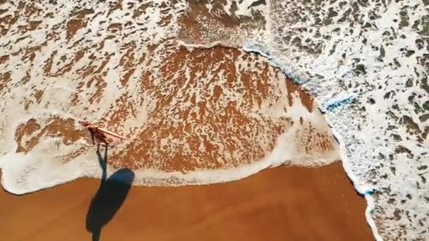 セクシーなサーファーの空中 若いです女性サーファーの空中ビューでビキニで歩くと上の砂の完璧なビーチとともにサーフボード — ストック動画