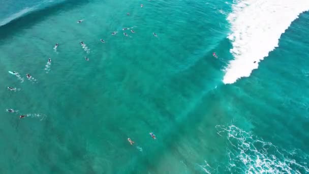冲浪的天线 冲浪者排队等候波浪 然后划着桨四处漂流 — 图库视频影像