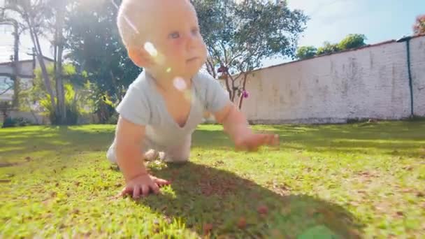 Bébé Rampant Dans Jardin Vert Garçon Apprend Ramper Dans Jardin — Video