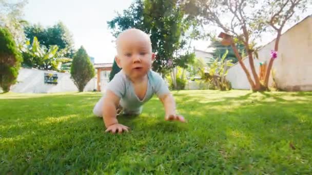 Bebé Bebé Arrastra Jardín Verde Chico Aprende Arrastrándose Jardín Verano — Vídeos de Stock