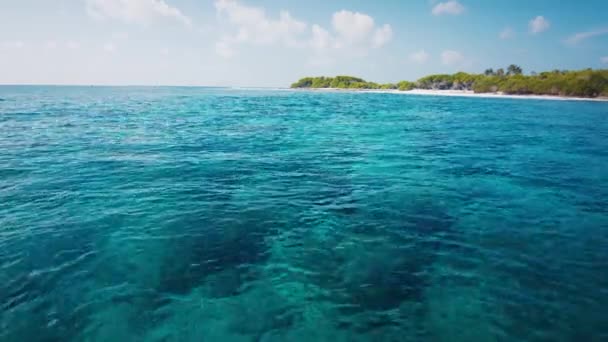 Mer Tropicale Île Mer Peu Profonde Avec Récif Aux Maldives — Video