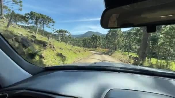 Toddler Girl Steers Car Rural Area Little Girl Learns Driving — Stock Video