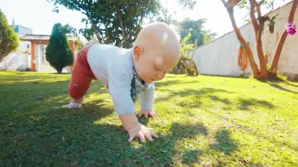 婴儿带着绿草和绿树爬到阳光灿烂的花园里 — 图库视频影像