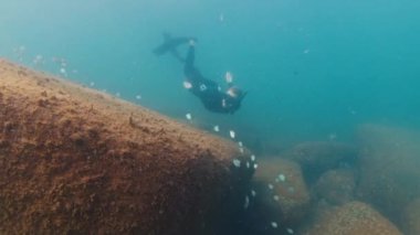 Serbest dalgıç bulanık denizde suyun altında yüzer ve kayalık dipte süzülür. Freediver okyanusun altında yüzüyor.