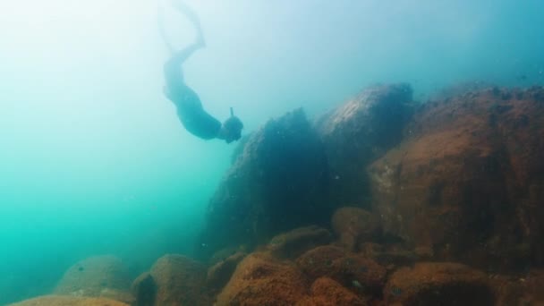 Subacqueo Libero Nuota Sott Acqua Nel Mare Oscuro Scivola Sul — Video Stock