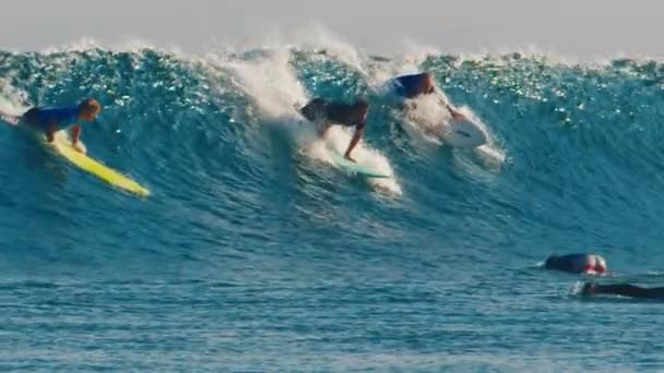 Hombre Surfista Despega Pero Cae Derecha Propia Tabla Surf Luego — Vídeos de Stock
