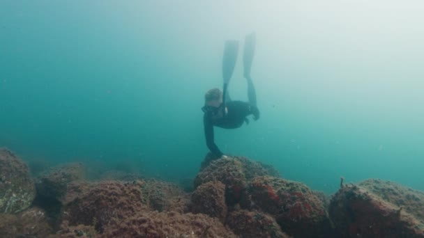 無料のダイバーは 濁った海で水中を泳ぎ 岩の底を滑り降りる 海の中で水中で泳ぐ冷凍機 — ストック動画
