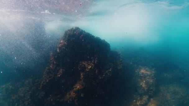 Vista Submarina Roca Cubierta Conchas — Vídeos de Stock