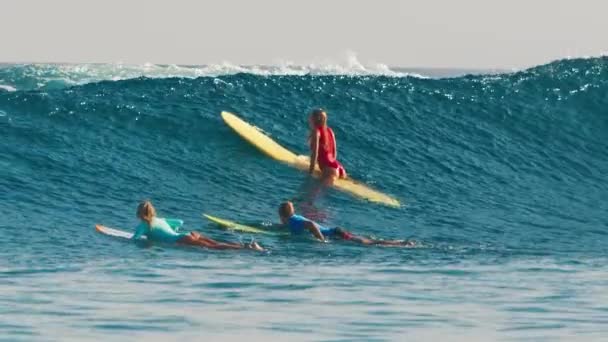 Surfistas Esperam Ondas Nas Maldivas Remam Sobre Onda — Vídeo de Stock