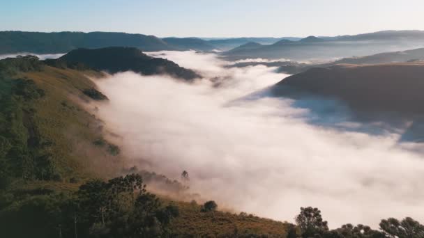 Nevoeiro Matutino Vale Dos Rios Planaltos Brasileiros Estado Santa Catarina — Vídeo de Stock