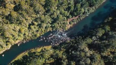 Brezilya 'da doğal ormanı olan vahşi bölgede akan hızlı nehrin yukarıdan görünüşü.