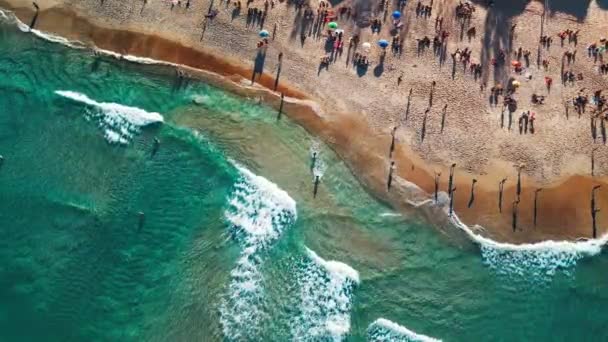 Aerial Top View Tropical Beach People Relaxing Sand Santa Catarina — Stock Video
