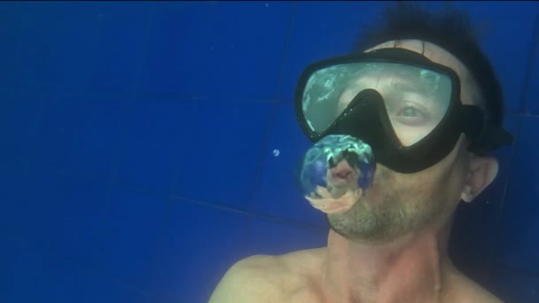 Diver Blows Ring Bubble Underwater Slow Motion Footage Person Mask — Stock Video