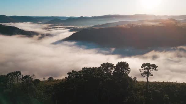 Mattina Nebbia Nella Valle Dei Fiumi Negli Altopiani Brasiliani Stato — Video Stock