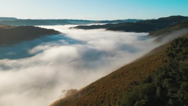 Nevoeiro Matutino Vale Dos Rios Planaltos Brasileiros Estado Santa Catarina — Vídeo de Stock