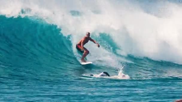Indian Ocean Maldives October 2022 Surfer Ride Sea Wave 몰디브에서 — 비디오