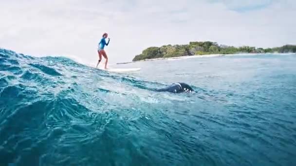 Žena Surfařka Jezdí Vlně Zatímco Muž Surfař Potápí Pod Vlnou — Stock video