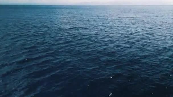 Kamera Tropikal Denizin Üzerinde Uçar Aşağı Eğilir — Stok video