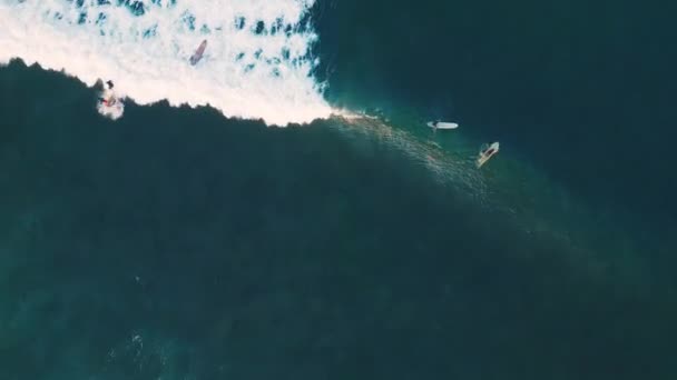 Γυναίκα Surfs Κύμα Στο Batu Bolong Surfing Spot Στο Μπαλί — Αρχείο Βίντεο