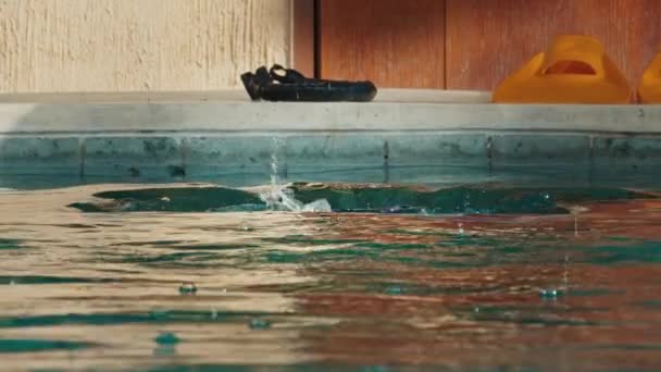プールでの男性のフリーダイバートレーニングとダイビング — ストック動画