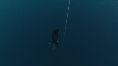 Freediver iple çalışıyor. Erkek serbest dalış trenleri açık denizde ip boyunca ilerler ve derinlerden yükselir.