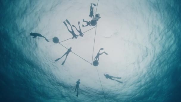 Bir Grup Nakliyeci Açık Denizde Antrenman Yapıyor Şamandıralarda Serbest Dalgıçların — Stok video