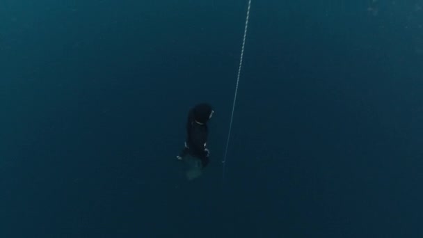 Freediver Trabalha Com Cordas Mergulhador Livre Masculino Treina Longo Corda — Vídeo de Stock