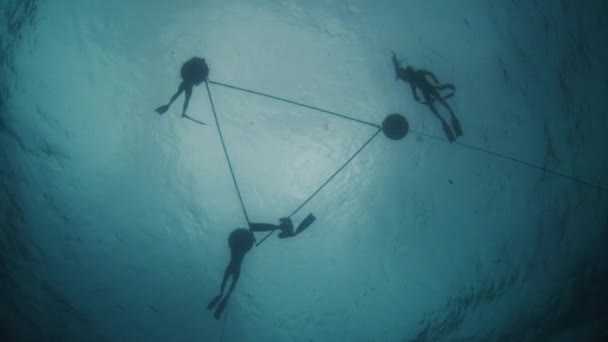 Звільнені Працюють Морі Група Безкоштовних Дайверів Курсує Мотузками Відкритому Морі — стокове відео