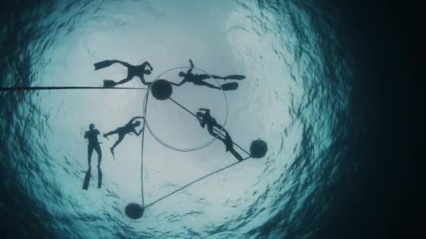 Svoboda Funguje Moři Skupina Volných Potápěčů Trénuje Podél Lan Otevřeném — Stock video